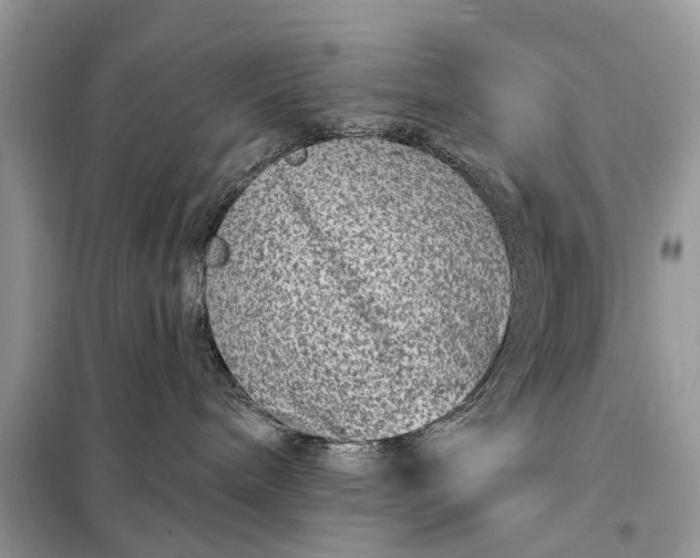 X0000098200240200805081118