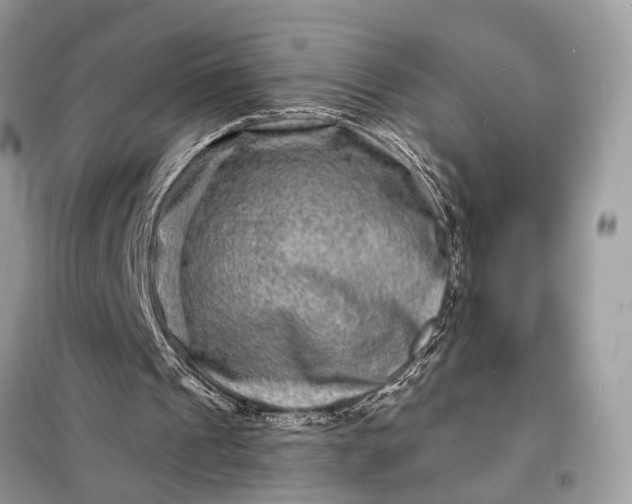 X0000098200241200805081118