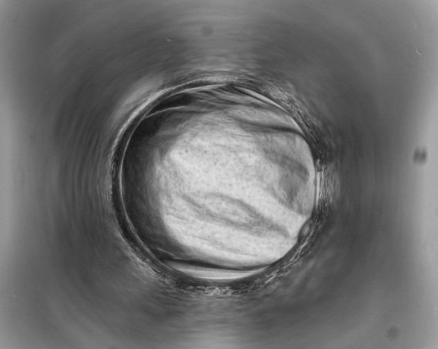 X0000098200243200805081118