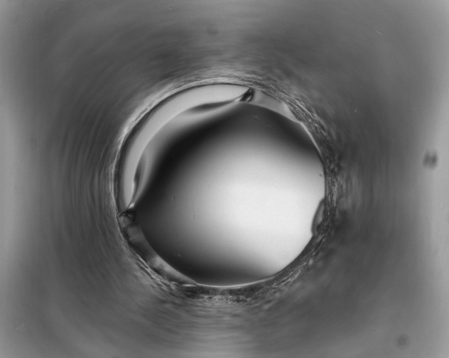 X0000098200244200805081118