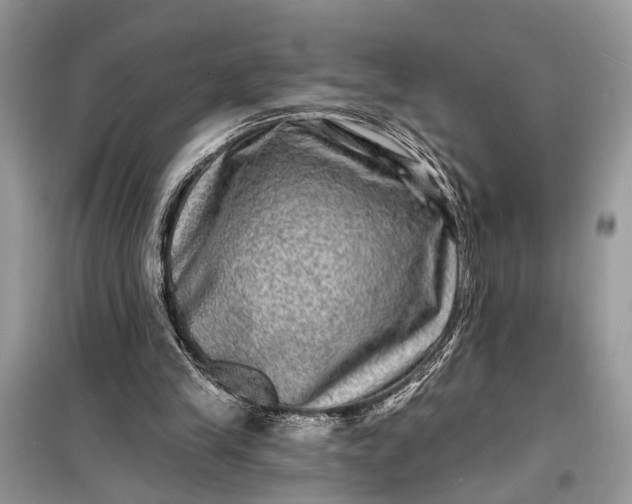 X0000098200245200805081118