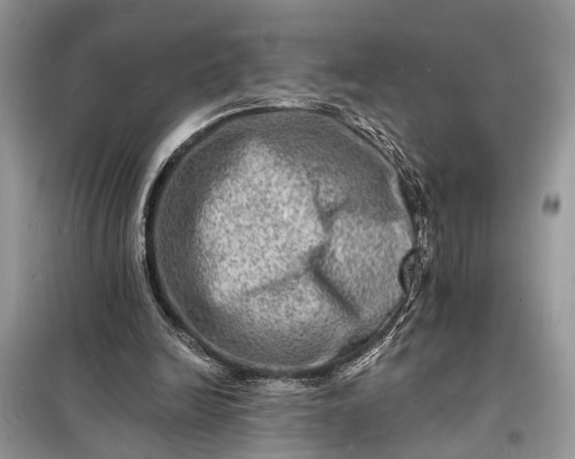 X0000098200246200805081118