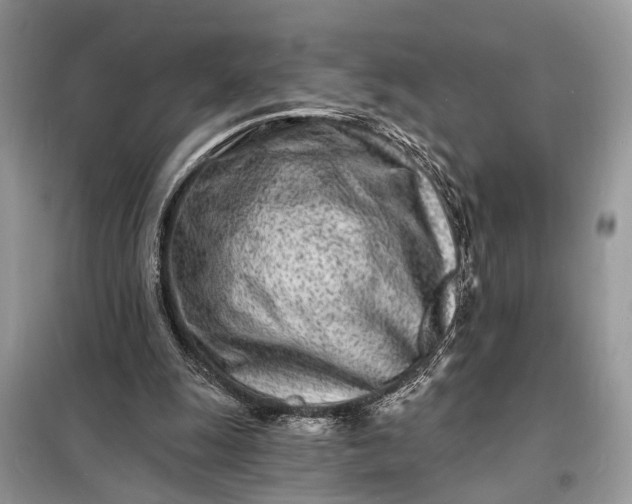 X0000098200247200805081118