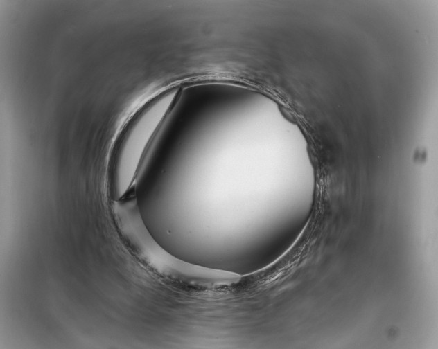 X0000098200248200805081118