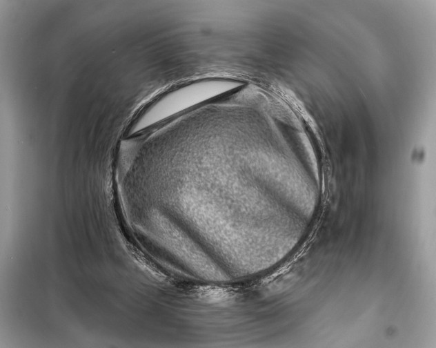 X0000098200249200805081118