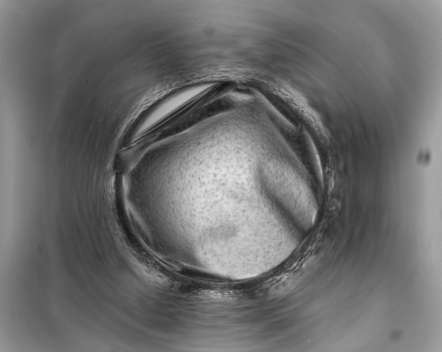 X0000098200250200805081118