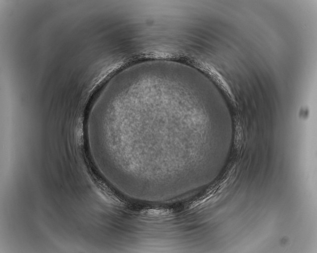 X0000098200251200805081118
