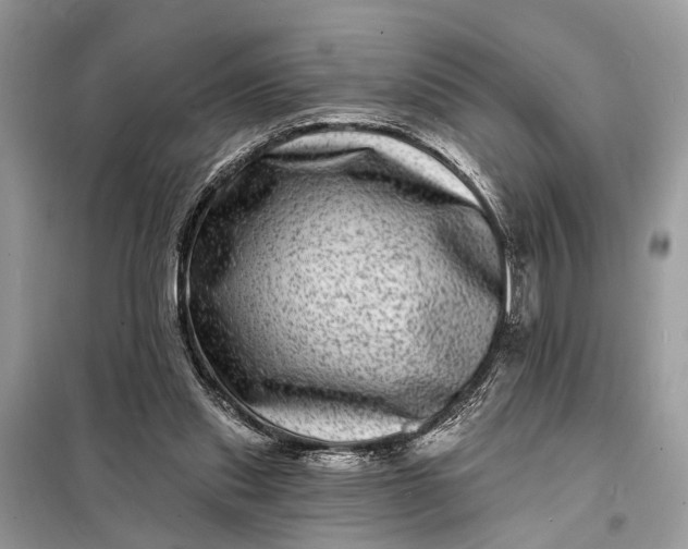 X0000098200253200805081118