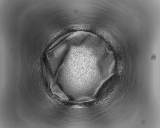 X0000098200255200805081118