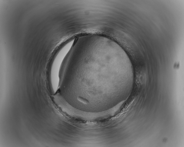 X0000098200256200805081118