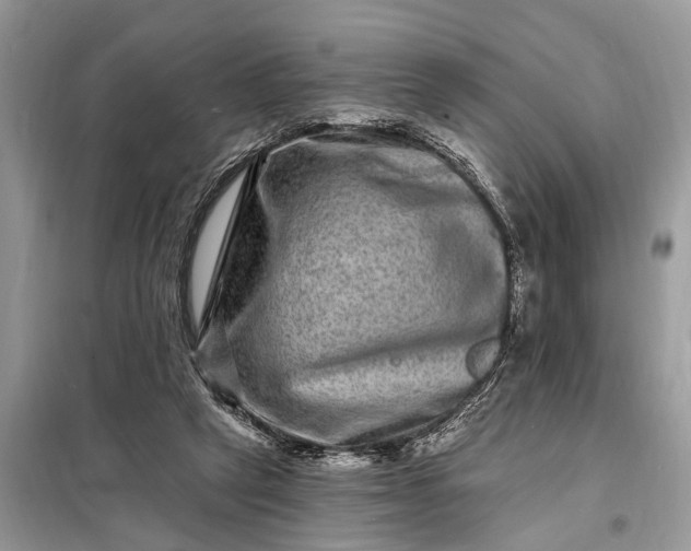 X0000098200257200805081118
