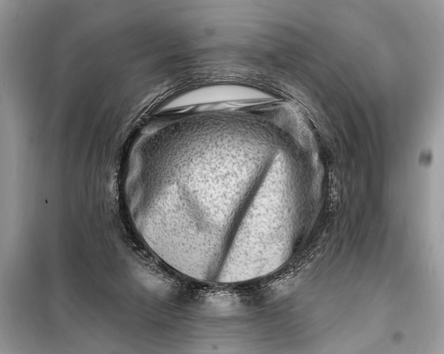 X0000098200258200805081118