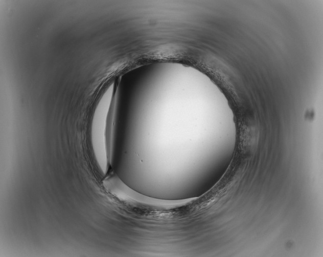 X0000098200260200805081118