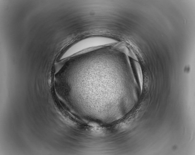 X0000098200261200805081118