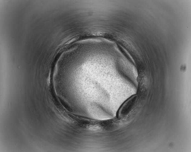 X0000098200262200805081118