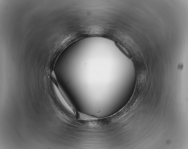 X0000098200264200805081118