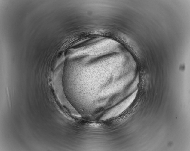 X0000098200265200805081118