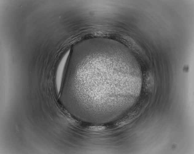 X0000098200266200805081118