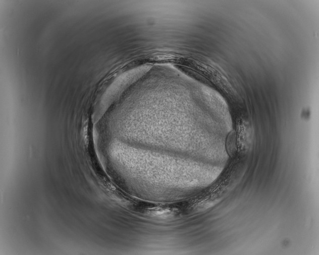X0000098200267200805081118