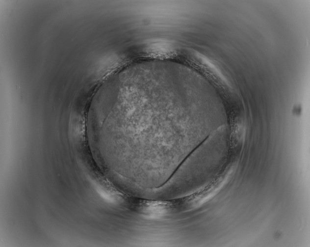 X0000098200268200805081118