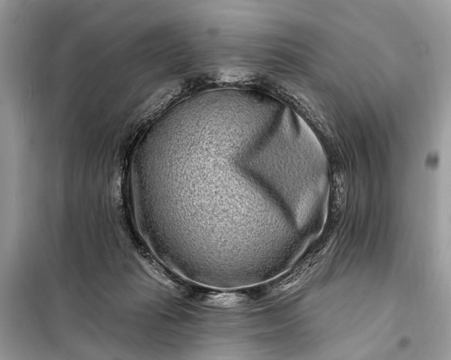 X0000098200269200805081118