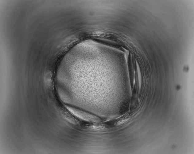 X0000098200270200805081118