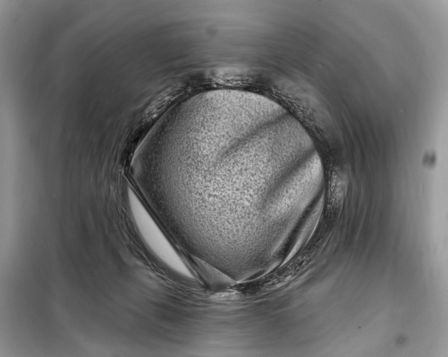 X0000098200271200805081118