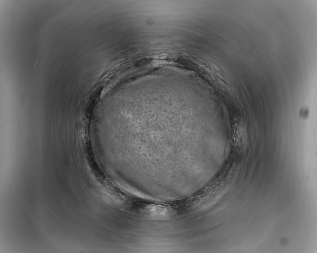 X0000098200272200805081118