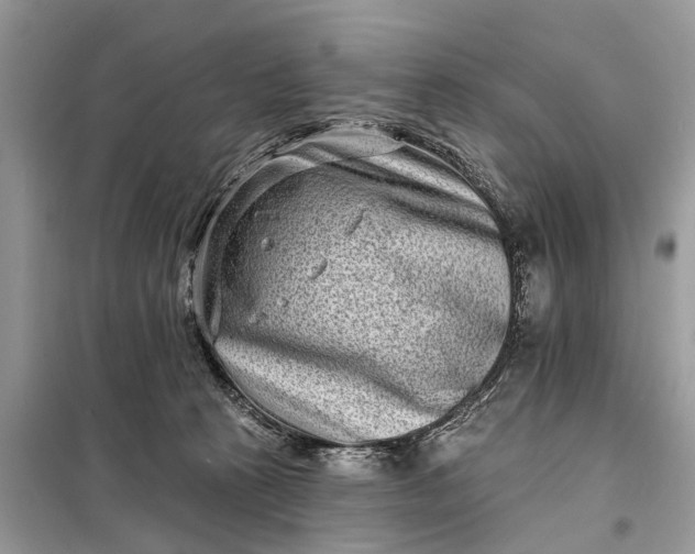 X0000098200273200805081118