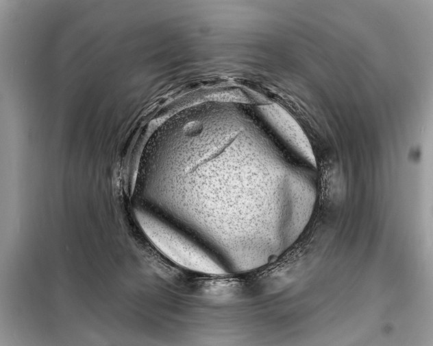 X0000098200274200805081118
