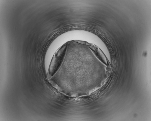 X0000098200276200805081118