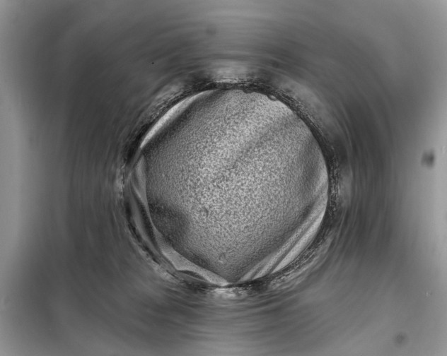 X0000098200277200805081118
