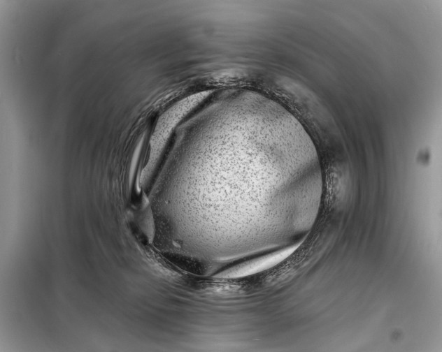 X0000098200278200805081118
