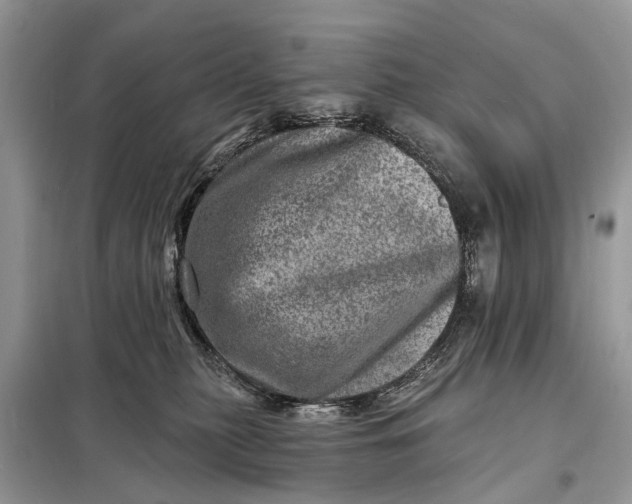 X0000098200279200805081118