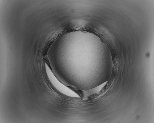X0000098200280200805081118
