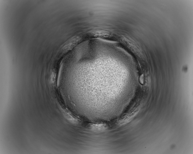 X0000098200281200805081118