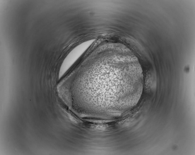 X0000098200282200805081118