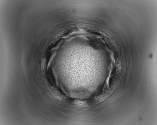 X0000098200283200805081118
