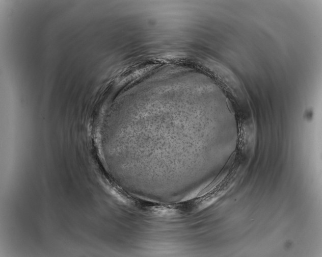 X0000098200284200805081118