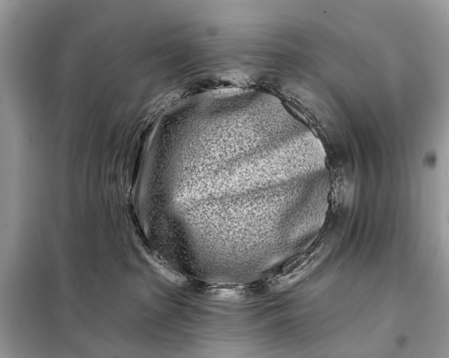 X0000098200285200805081118