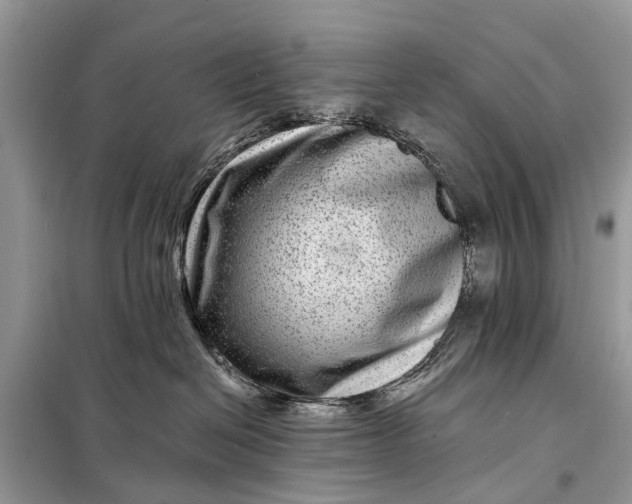 X0000098200286200805081118