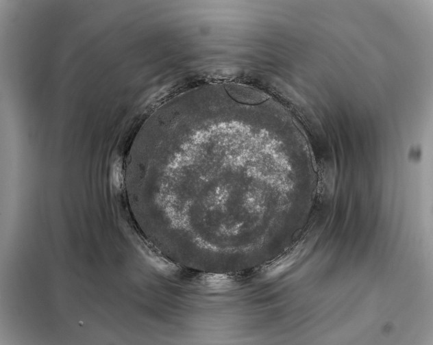 X0000098200287200805081118