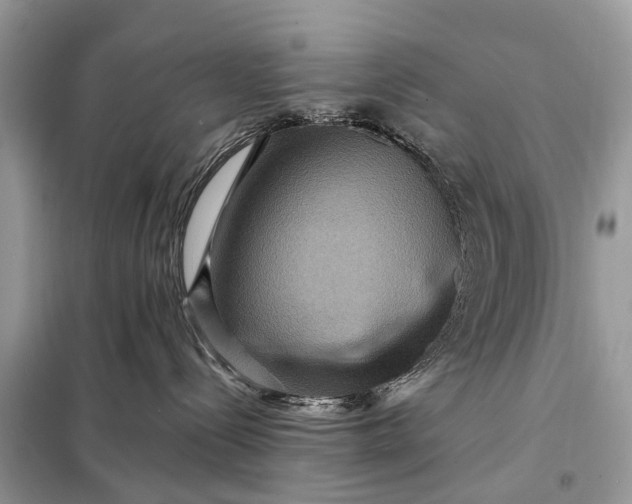 X0000098200288200805081118