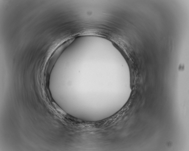 X0000098200289200805081118