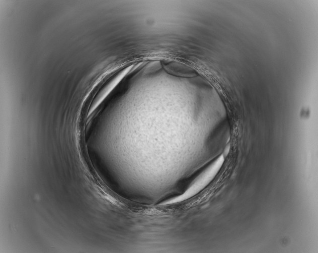 X0000098200290200805081118