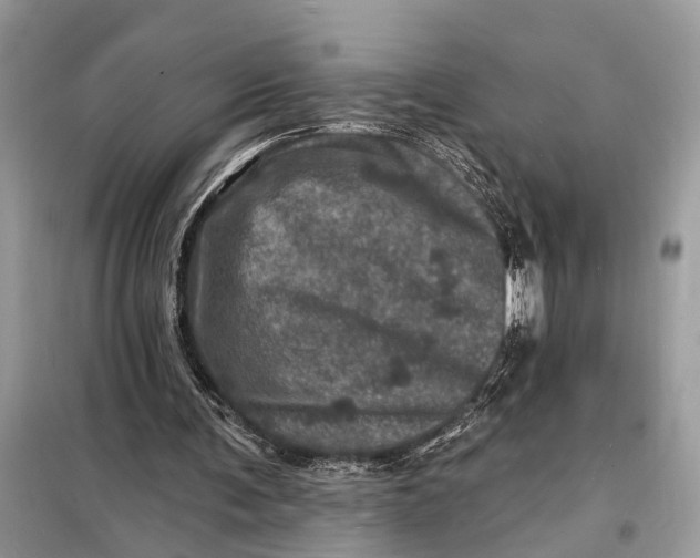 X0000098200291200805081118