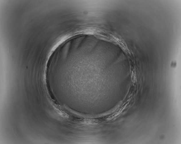 X0000098200292200805081118