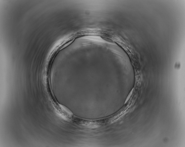 X0000098200293200805081118