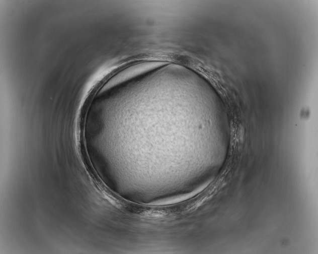 X0000098200294200805081118