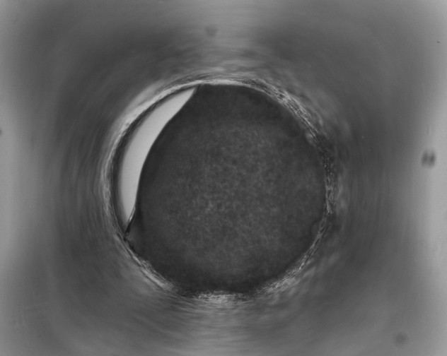 X0000098200295200805081118